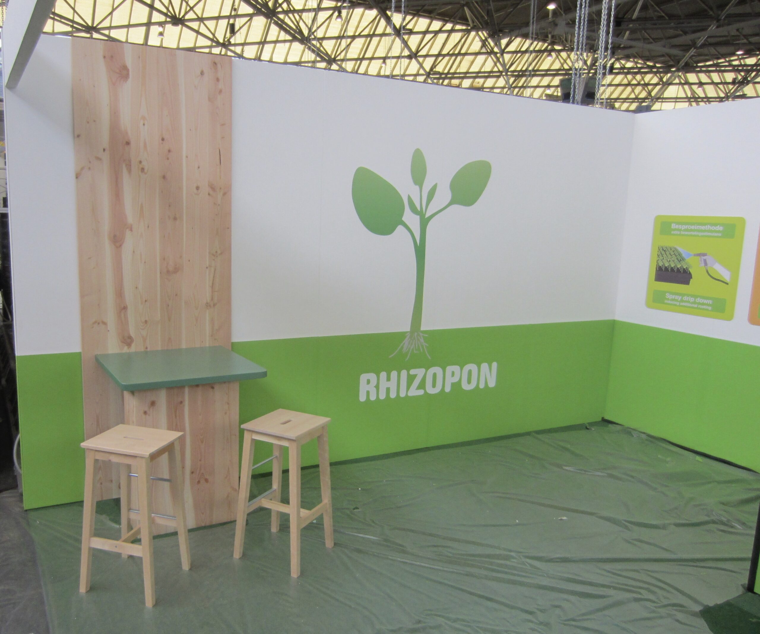 Rhizopon3
